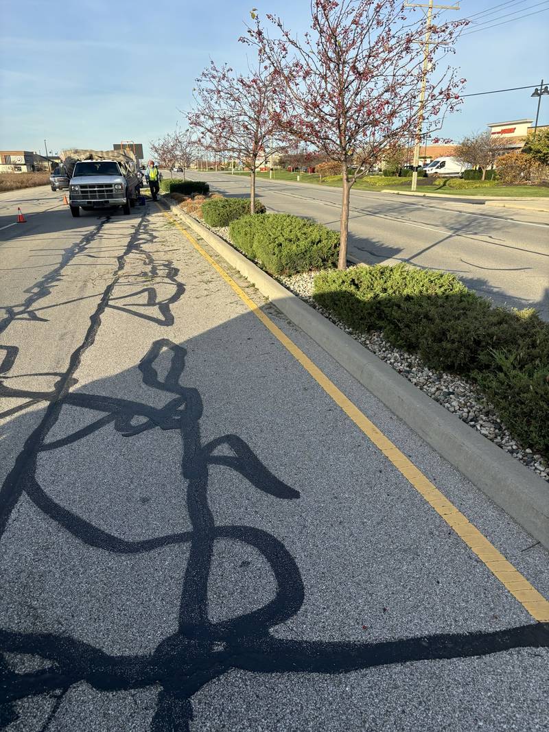 Dormant-season commercial bed maintenance