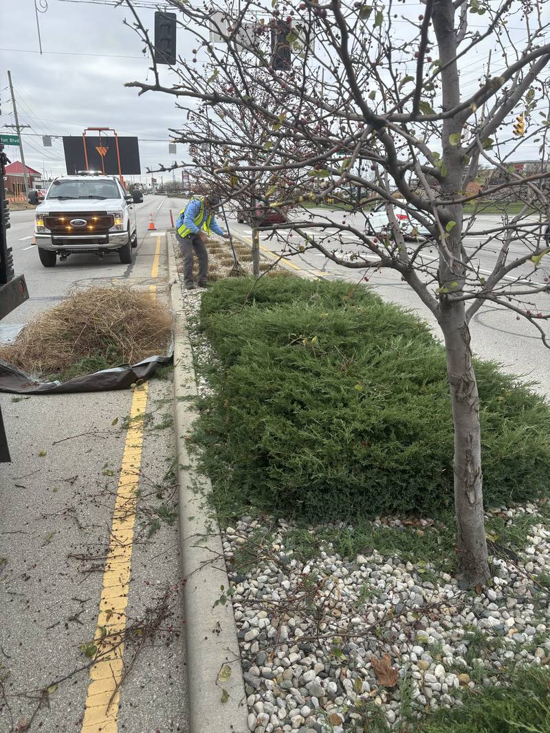 Municipal roadside bed maintenance