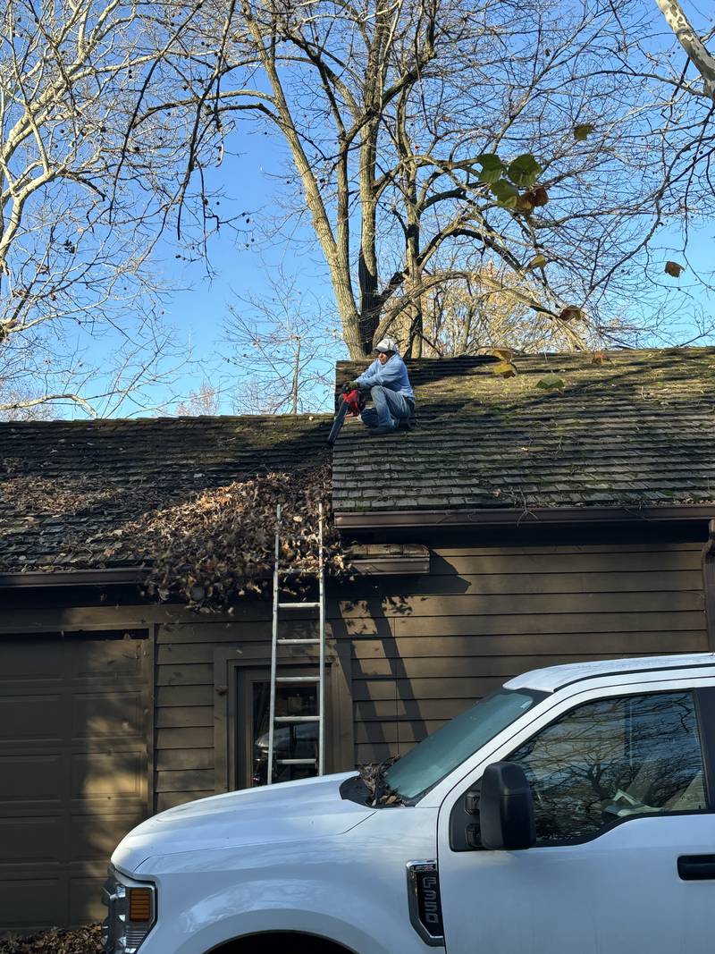 Fall cleanup with truck and ladder on site