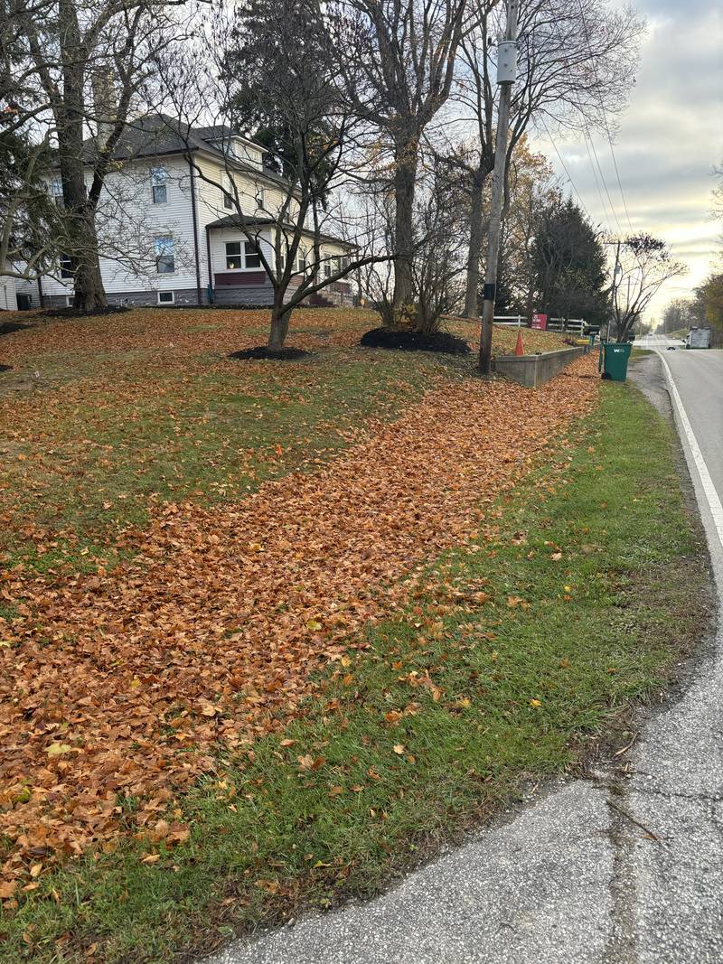 Leaf line along a driveway edge