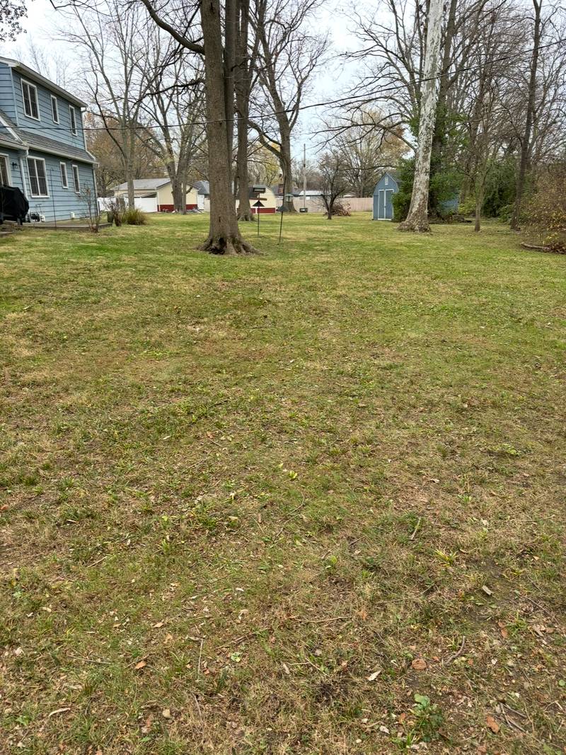 The same side yard cleared after leaf removal