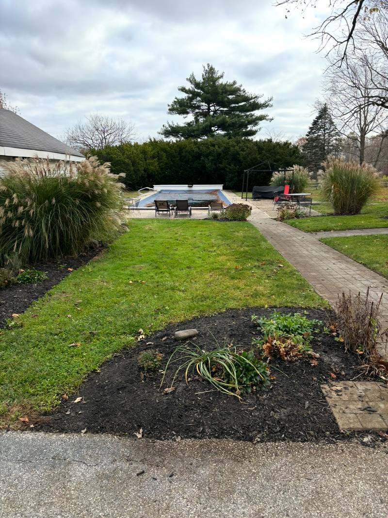 The same pool yard and beds after clearing