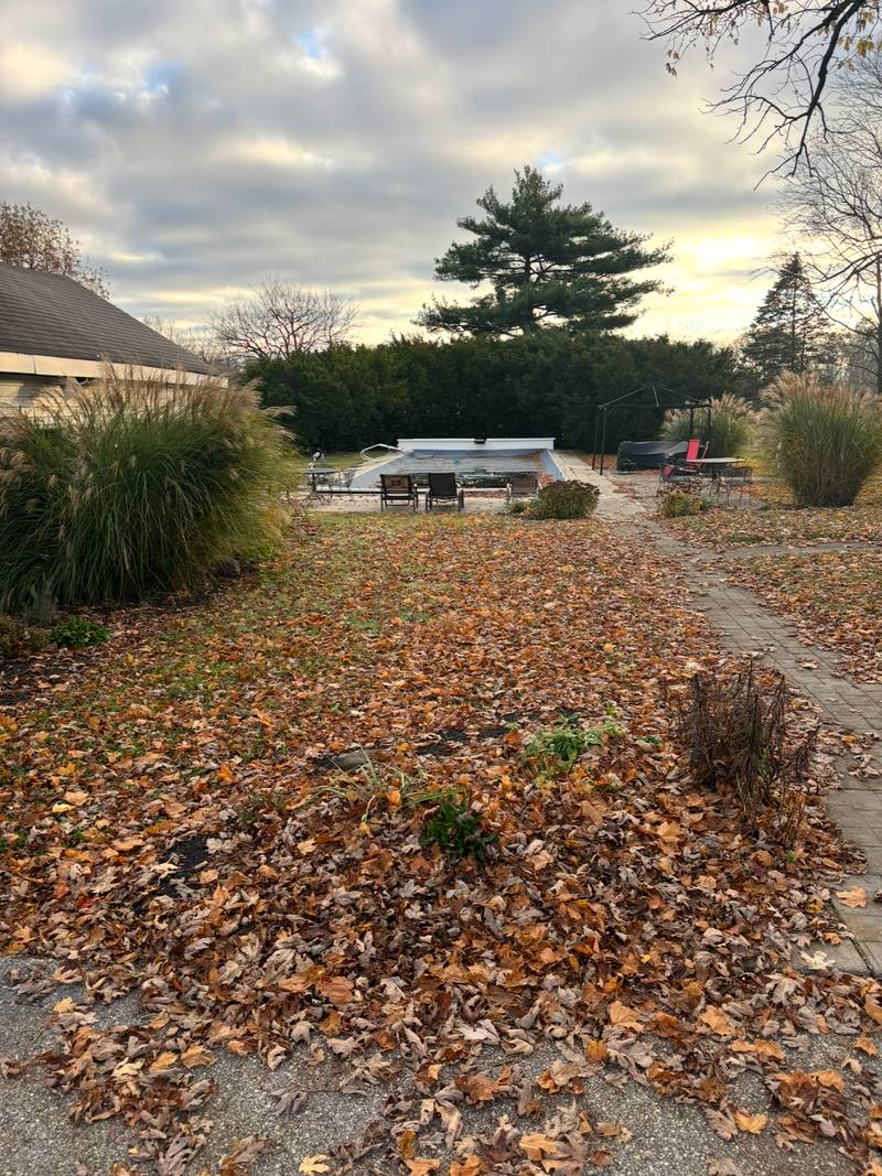 Pool yard and garden beds before leaf removal