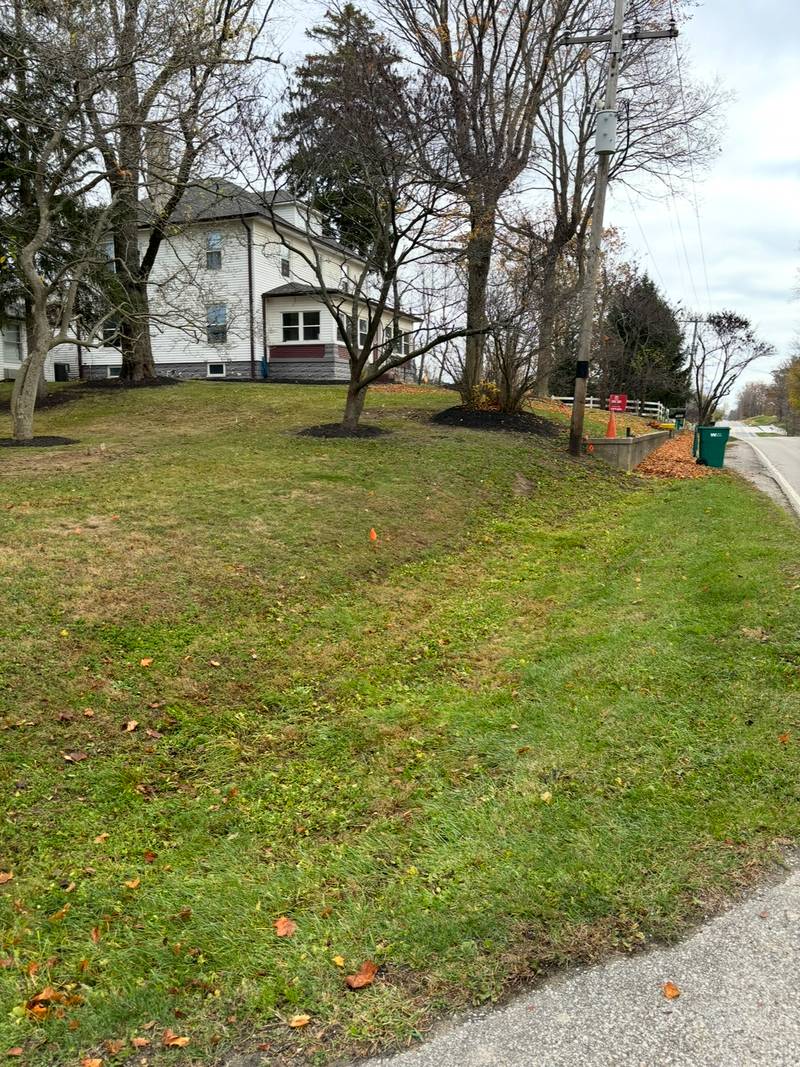 The same roadside lawn cleared and opened back up