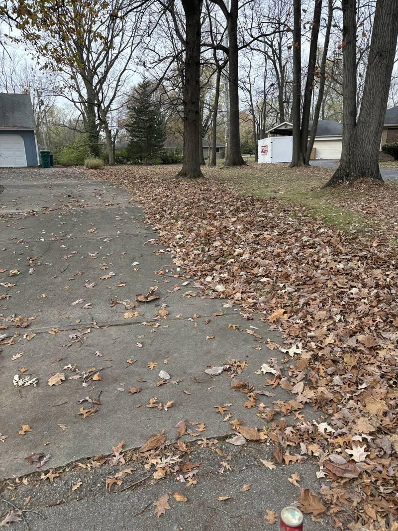 Leaf-covered drive before a pass