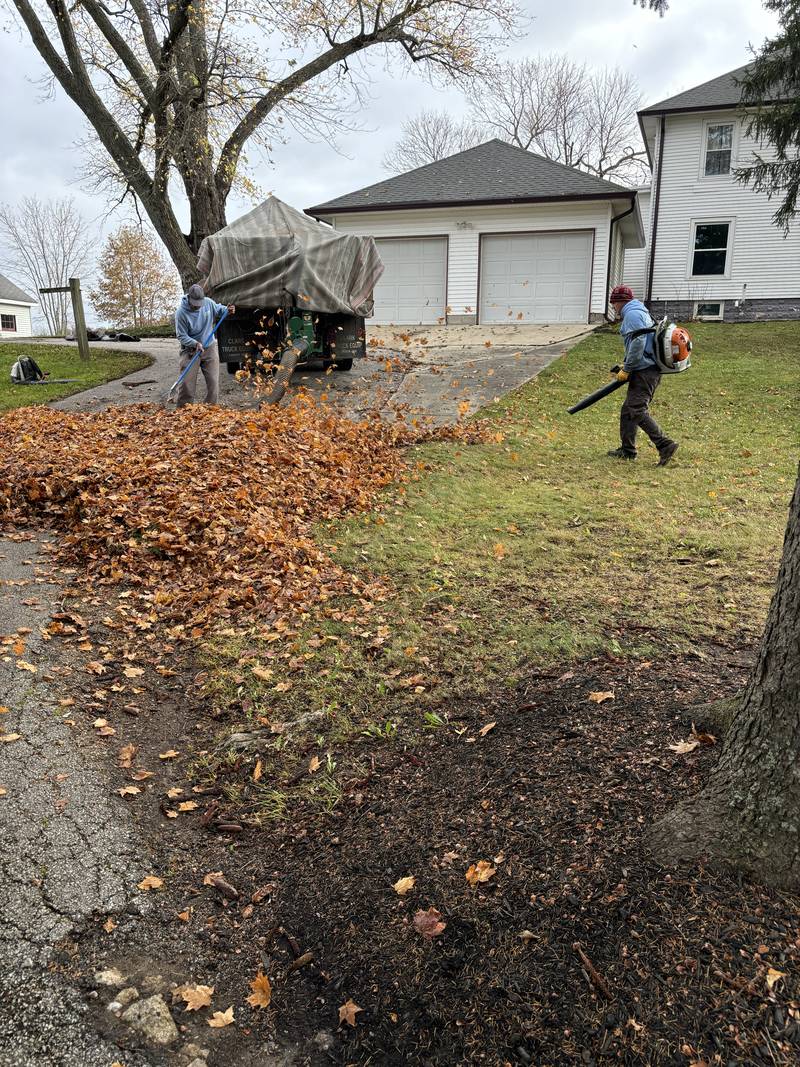 Crew clearing fall leaves with backpack blowers