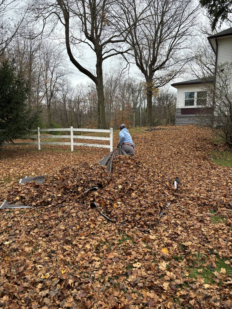 Raking out a heavy accumulation by hand
