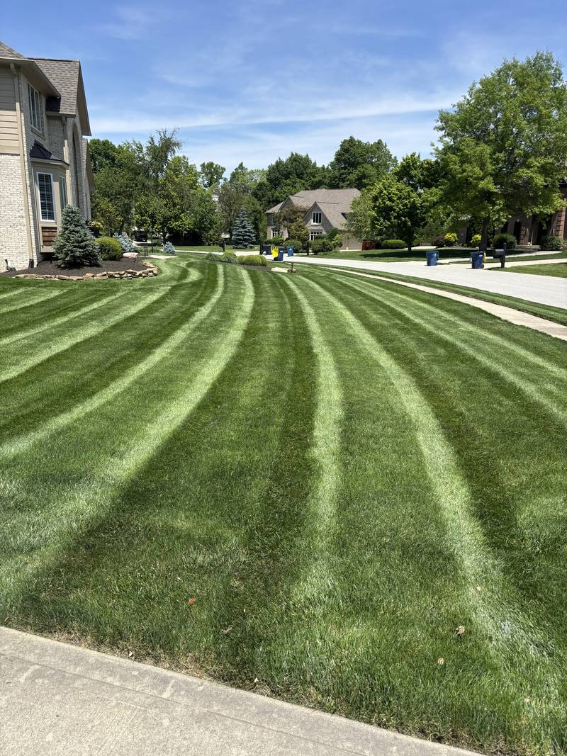 Freshly mowed and striped residential lawn in Zionsville, Indiana