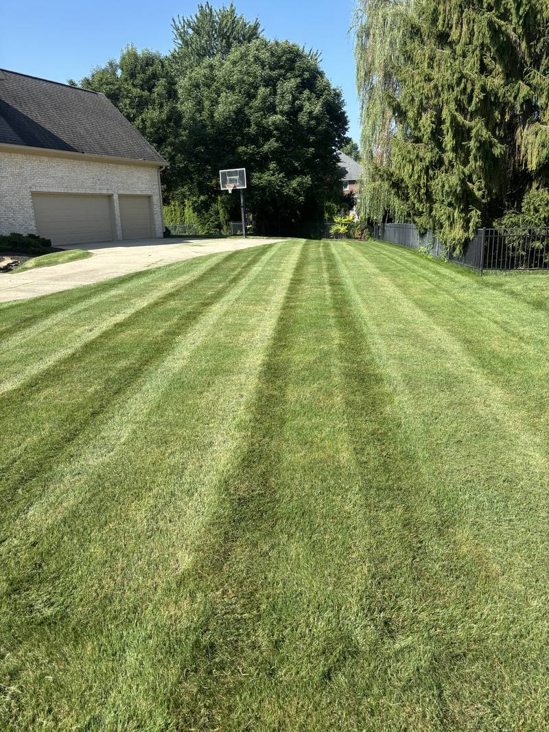 Early-season cut with clean stripe lines