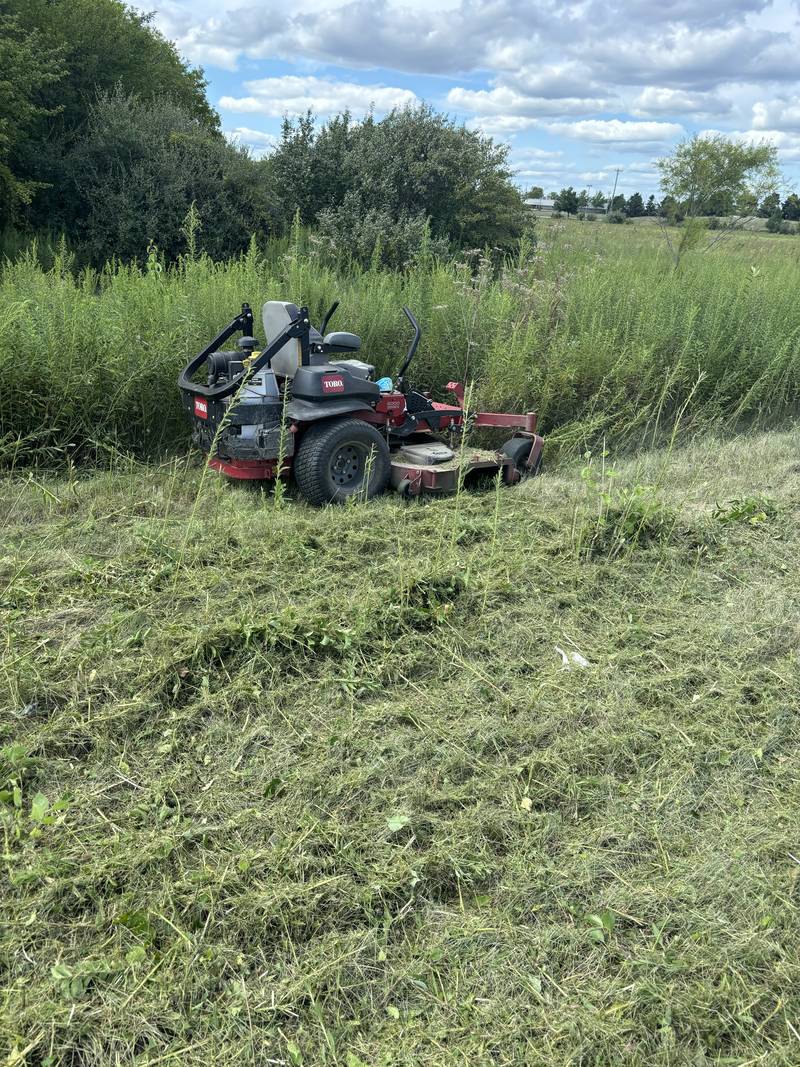 Rough-cutting an overgrown lot