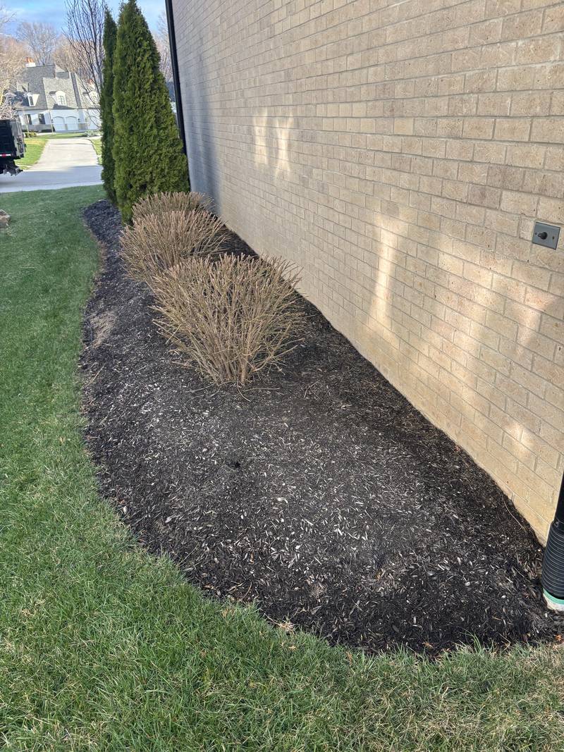 Foundation bed along a brick elevation