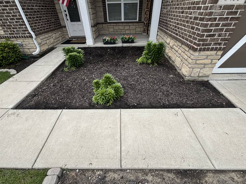 Entry walkway beds with fresh mulch