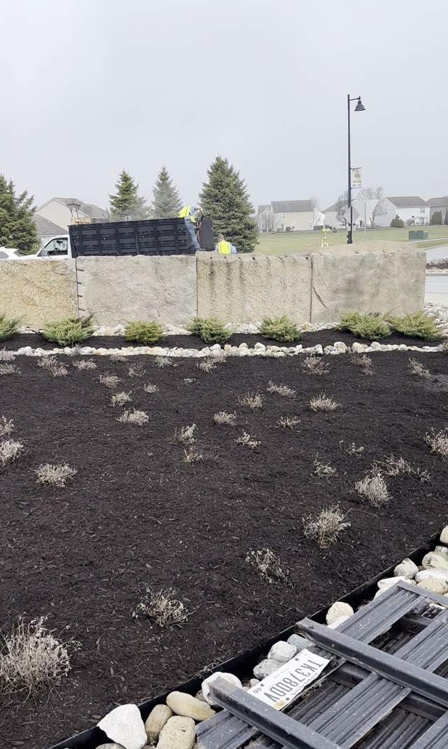 Freshly mulched commercial entrance bed with ornamental grasses and a river rock border