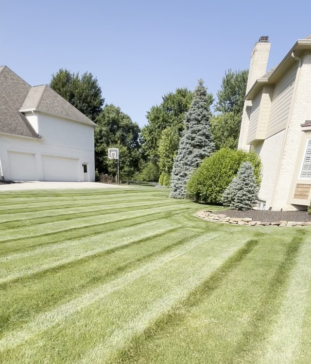 Slow pan across a freshly mowed residential lawn showing mowing stripes